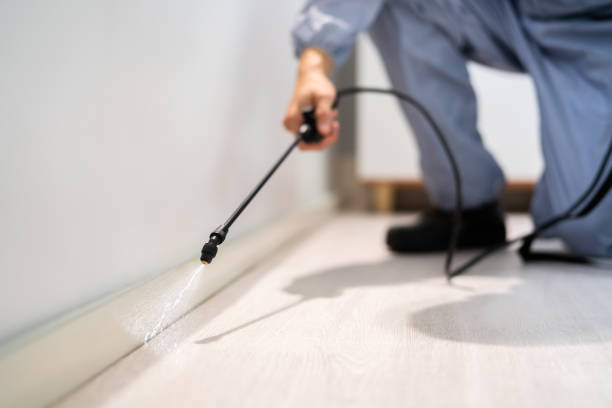 Rodent Entry Point Assessment in Winston-Salem