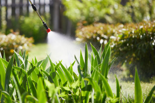 Tamper-Resistant Bait Stations for Rodents in Winston-Salem