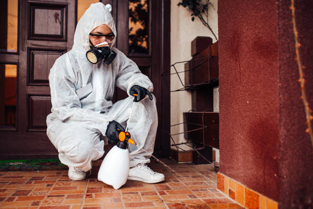 Attic and Crawl Space Rodent Treatment in Winston-Salem