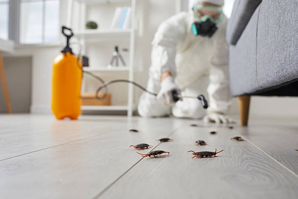 Commercial Rodent Management in Winston-Salem
